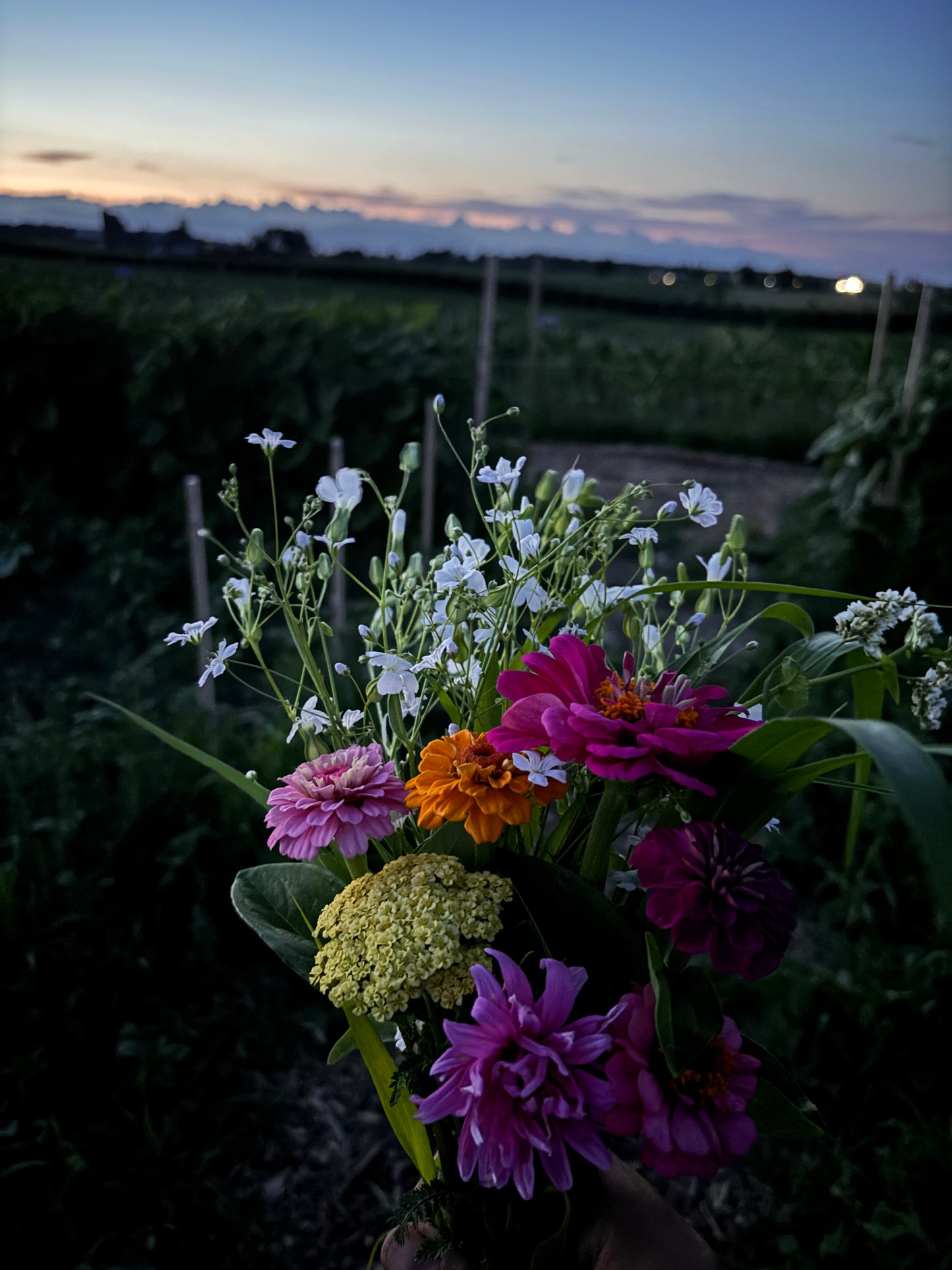 Fresh cut bouquet