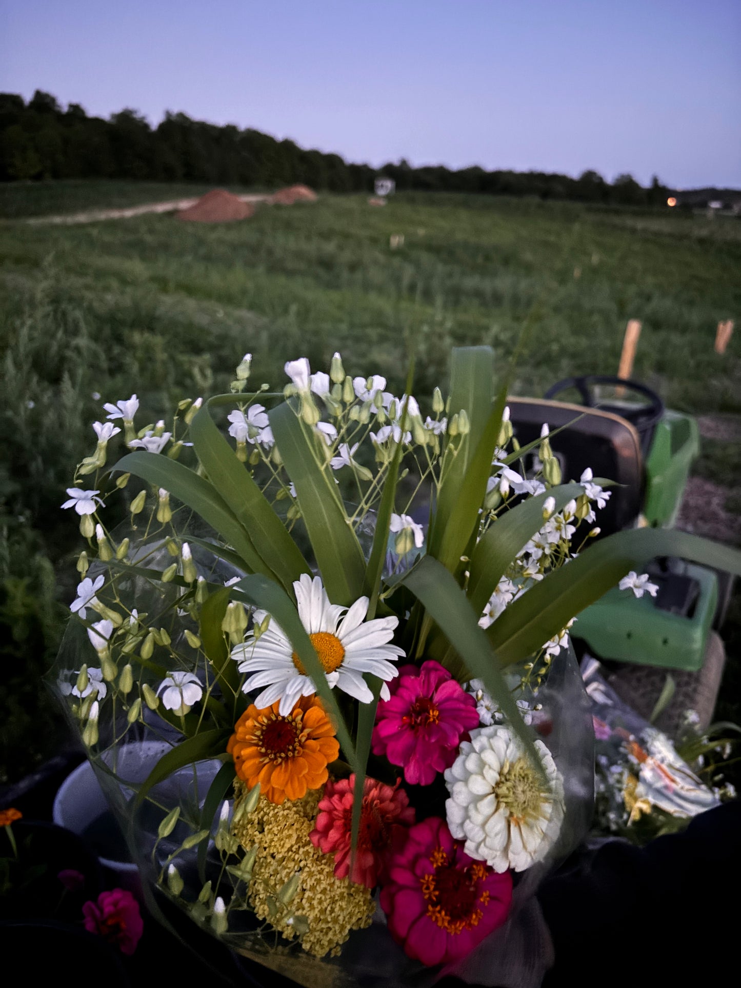 Fresh cut bouquet